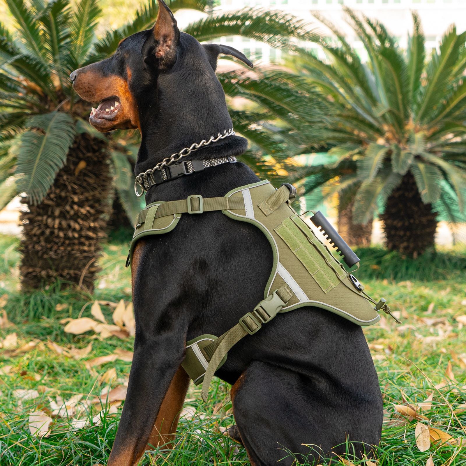 Arnes de entrenamiento para pero estilo militar